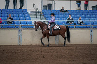 2019 Morgan Horse Show - Sept 01, 2019 - 06768