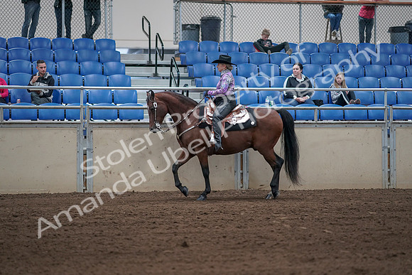 2019 Morgan Horse Show - Sept 01, 2019 - 06768