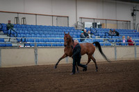 2019 Morgan Horse Show - Aug 31, 2019 - 00536