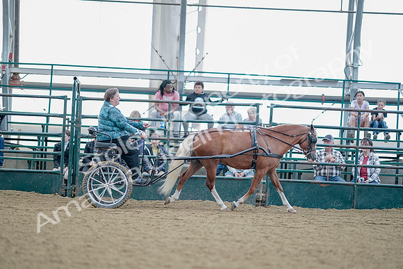 July 21, 2019 - 09024