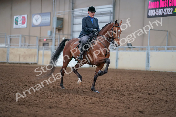 2019 Morgan Horse Show - Aug 30, 2019 - 20889