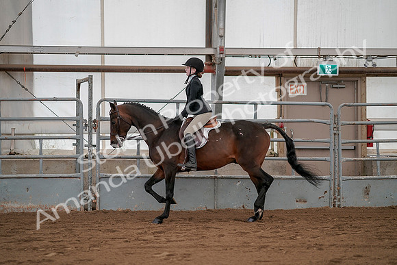 July 19, 2019 - 2603