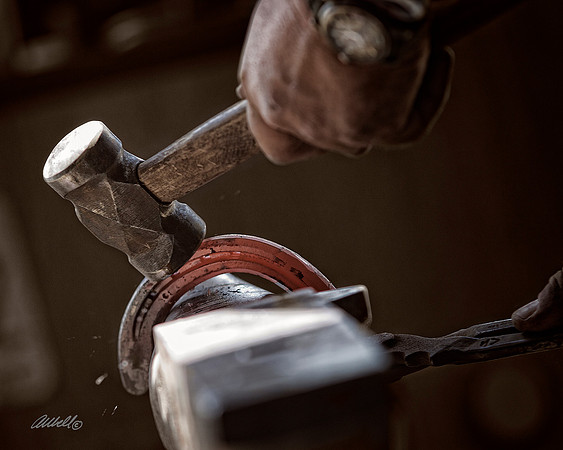 Farrier - 038