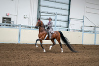 2020 - AB Morgan Horse - Sat, Sept 05 - 12083