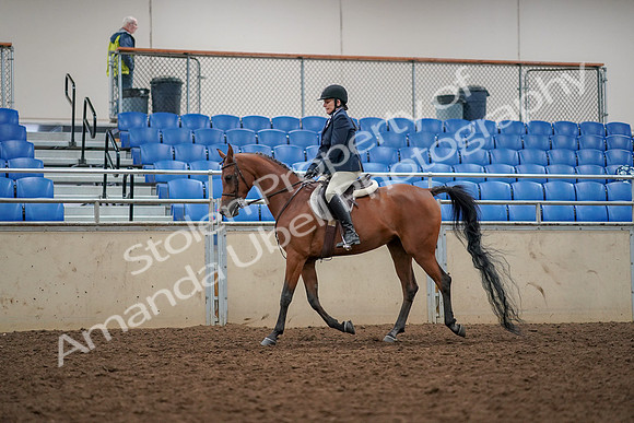 2019 Morgan Horse Show - Aug 30, 2019 - 22261