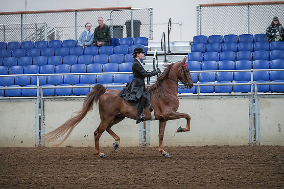 Spring Fling - Saturday - April 20, 2019  -  00563