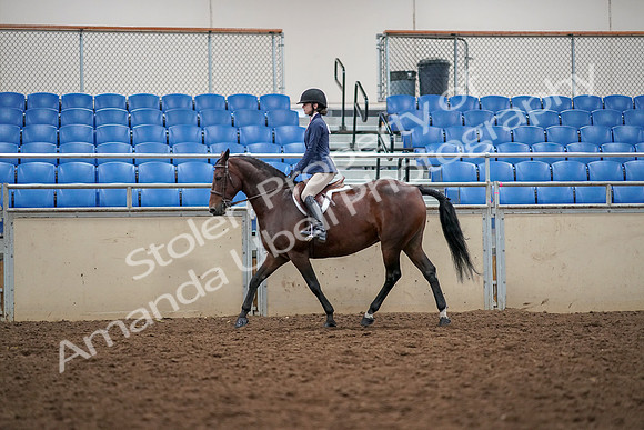 2019 Morgan Horse Show - Aug 30, 2019 - 23223