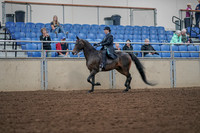 2019 Morgan Horse Show - Aug 30, 2019 - 15283