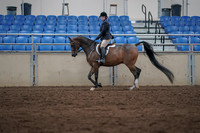 2019 Morgan Horse Show - Sept 01, 2019 - 08519
