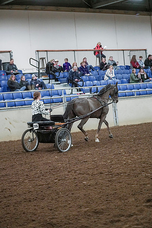 Spring Fling - Saturday - April 20, 2019  -  00248