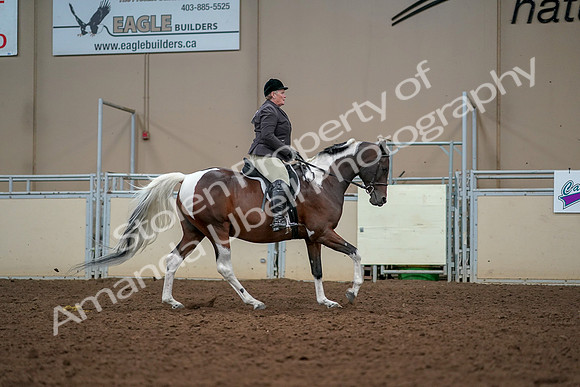 2019 Morgan Horse Show - Aug 30, 2019 - 22584