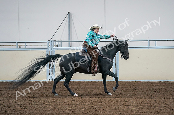 2020 - AB Morgan Horse - Fri, Sept 04 - 00486