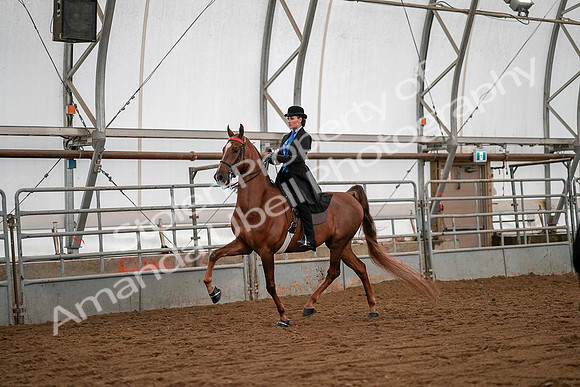 July 19, 2019 - 10576