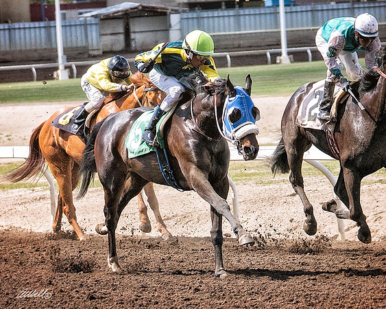 Northlands May 2018 - 4065