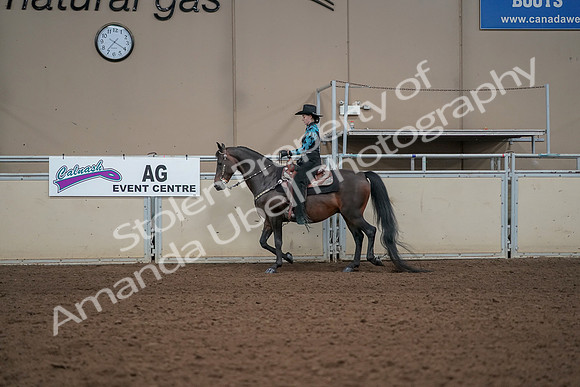 2019 Morgan Horse Show - Aug 30, 2019 - 25975