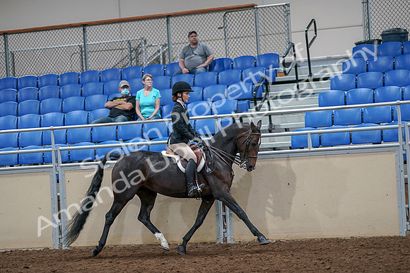 2020 - AB Morgan Horse - Fri, Sept 04 - 06038