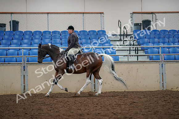2019 Morgan Horse Show - Aug 30, 2019 - 22418