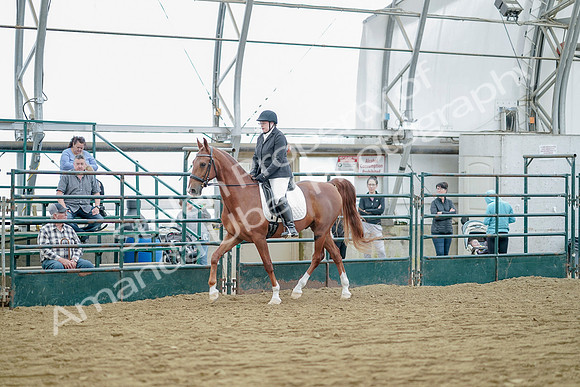 July 21, 2019 - 09578