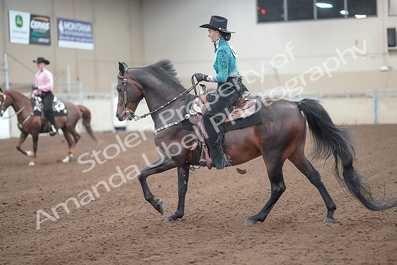 2019 Morgan Horse Show - Sept 01, 2019 - 06989