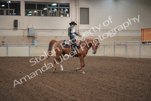 2019 Morgan Horse Show - Aug 30, 2019 - 26221