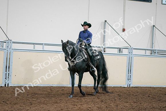2020 - AB Morgan Horse - Sun, Sept 06 - 07589