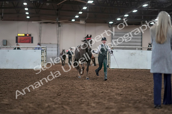 2019 Morgan Horse Show - Aug 31, 2019 - 01889