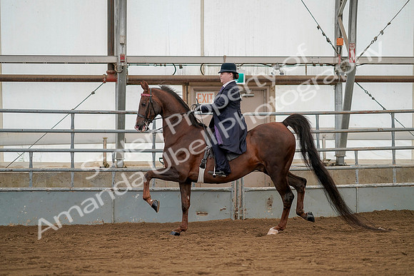 July 20, 2019 - 02252
