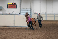 2020 - AB Morgan Horse - Fri, Sept 04 - 07589