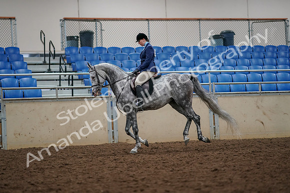 2019 Morgan Horse Show - Aug 30, 2019 - 22391