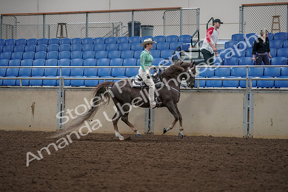 2019 Morgan Horse Show - Aug 30, 2019 - 26152