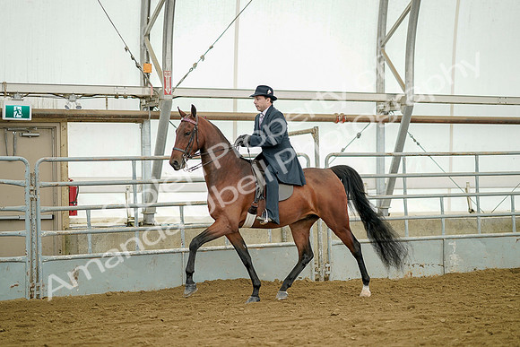 July 20, 2019 - 07368