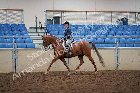 2019 Morgan Horse Show - Aug 30, 2019 - 22303