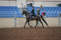 2019 Morgan Horse Show - Aug 30, 2019 - 15299