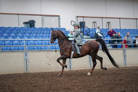 2019 Morgan Horse Show - Aug 30, 2019 - 17771