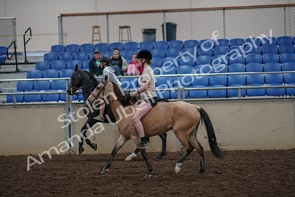 2019 Morgan Horse Show - Aug 30, 2019 - 31238