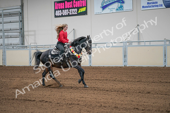 2020 - AB Morgan Horse - Sat, Sept 05 - 10541