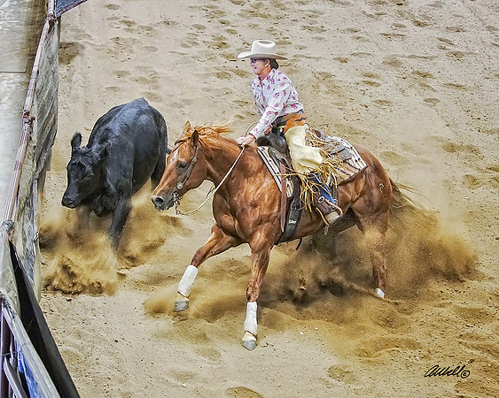 SRCHA - 0057