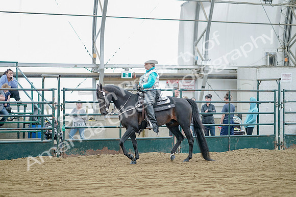July 21, 2019 - 09088