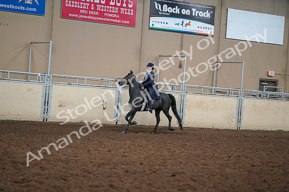 2019 Morgan Horse Show - Aug 30, 2019 - 12220