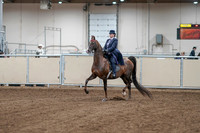 2020 - AB Morgan Horse - Fri, Sept 04 - 07859