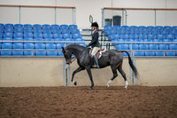 2019 Morgan Horse Show - Aug 30, 2019 - 23110