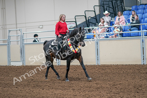 2020 - AB Morgan Horse - Sat, Sept 05 - 10501