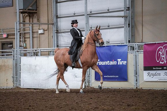 Spring Fling - Saturday - April 20, 2019  -  04187