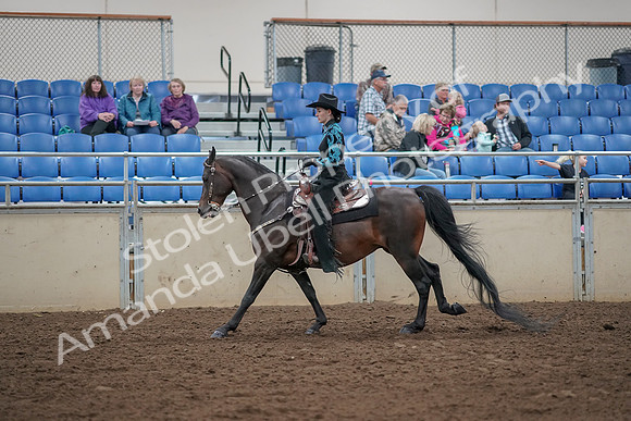 2019 Morgan Horse Show - Aug 30, 2019 - 26084