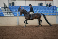 2019 Morgan Horse Show - Aug 30, 2019 - 19871