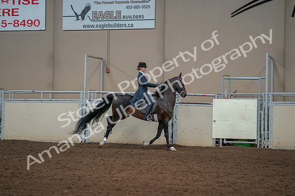 2019 Morgan Horse Show - Aug 30, 2019 - 25327