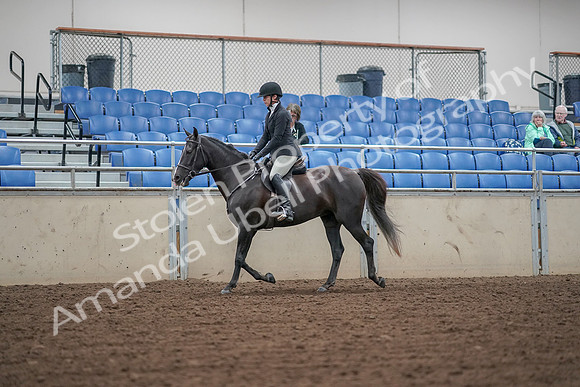 2019 Morgan Horse Show - Aug 30, 2019 - 14886