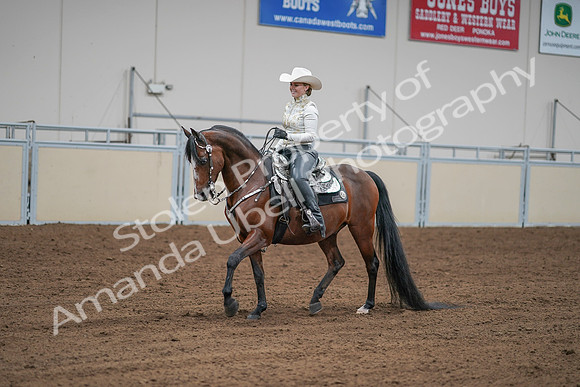 2020 - AB Morgan Horse - Sat, Sept 05 - 09029