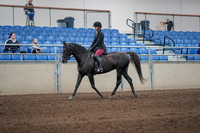 2019 Morgan Horse Show - Sept 01, 2019 - 06234