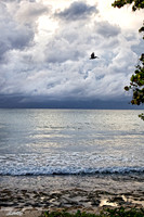 Jamaica - 012